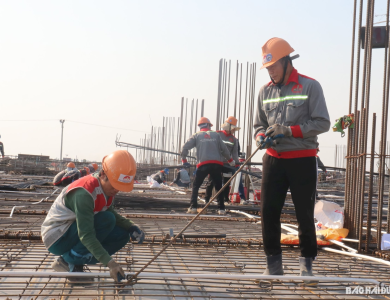 Thi công cống rãnh, bó vỉa, lát gạch vỉa hè, hệ thống PCCC